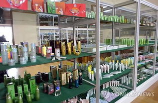 金正恩的隱藏身份 美妝達(dá)人化妝學(xué)校的秘密